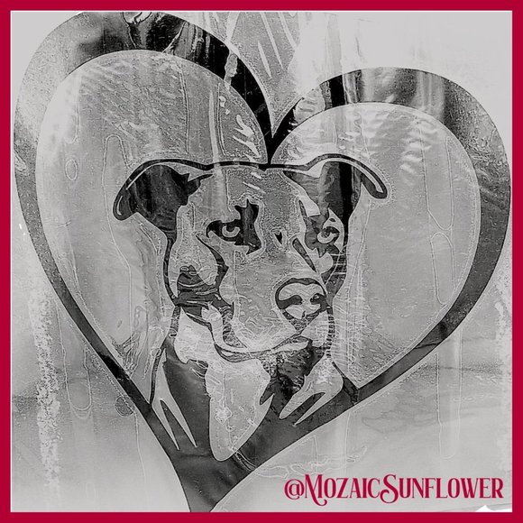 American Staffordshire American Pitbull Terrier Heart Vinyl Decal Black NWT - Picture 4 of 4